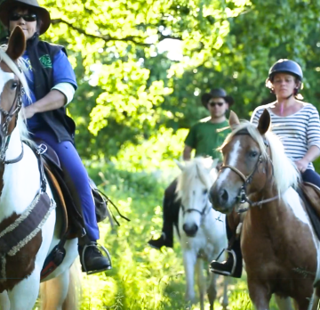 Randonnée à cheval de 4 jours à travers le vignoble mâconnais