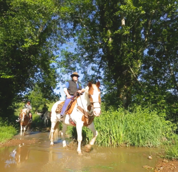 Randonnée à cheval de 3 jours à travers le Brionnais