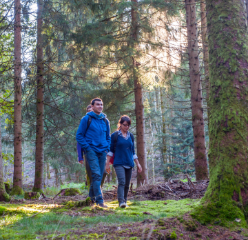 Le Brionnais en 3 jours : à la découverte de l'architecture romane