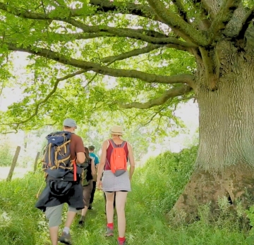 Le Brionnais en 6 jours : partir à l'exploration du bocage brionnais