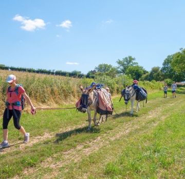 Three-day unaccompanied hike with a donkey