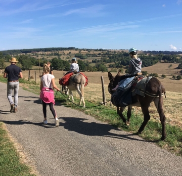 Bourgogne : rando âne 4 jours