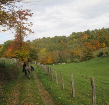 Bourgogne : rando âne 5 jours
