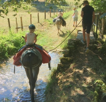 Bourgogne : rando âne 6 jours