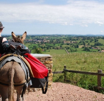 Bourgogne : rando âne débutant 6 jours