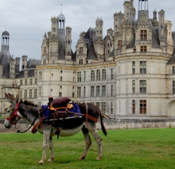 Les châteaux de la Loire sur 5 jours