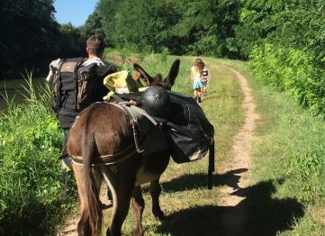 Hike & Donkey